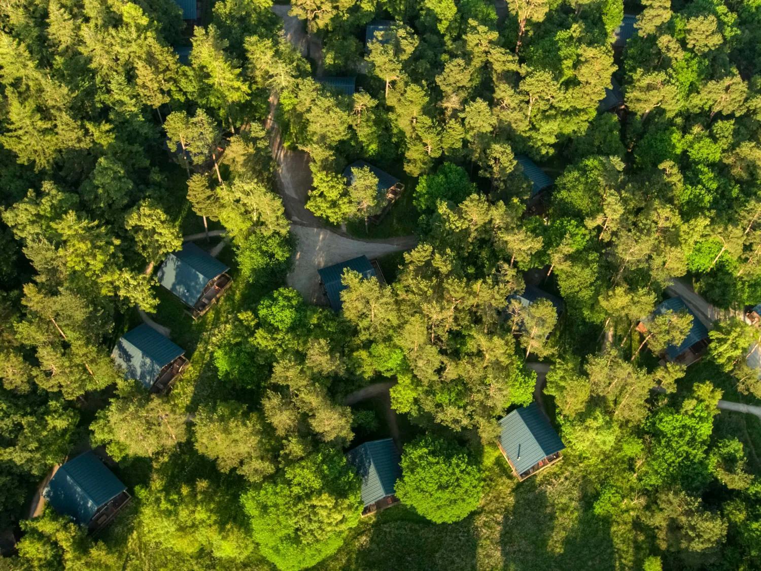 Keldy Forest Cabins - Forest Holidays Pickering Exterior foto